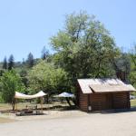 IMG_7679 (May 28, 2024)